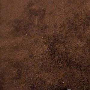 Meet your Posher, Daunte